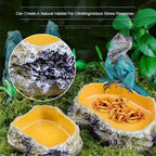 Resin Reptile Feeding & Water Bowl — Terrarium Dish for Reptiles & Amphibians