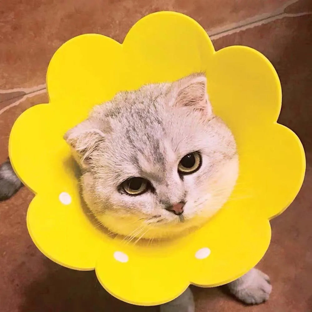 Soft Flower-Shaped Recovery Collar — Comfortable Anti-Lick Cone Alternative