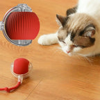 Electric Rolling Ball Toy — USB Rechargeable Auto-Move for Cats & Dogs