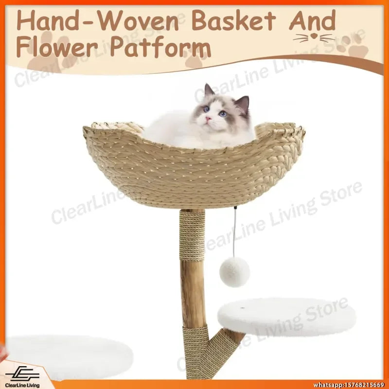 Modern Wood Cat Tree with Wicker Condo & Scratching Post