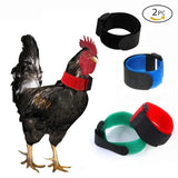 No-Crow Rooster Collar — Adjustable Nylon Chicken Collar