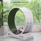Cat Roller Treadmill — Claw-Grinding Climbing Exercise Wheel
