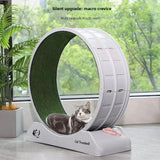 Cat Roller Treadmill — Claw-Grinding Climbing Exercise Wheel