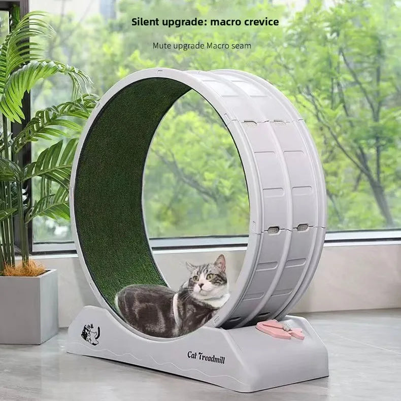 Cat Roller Treadmill — Claw-Grinding Climbing Exercise Wheel