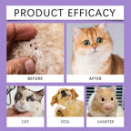 Flea & Tick Repellent Spray for Dogs & Cats — Waterproof Lemon & Lavender Formula
