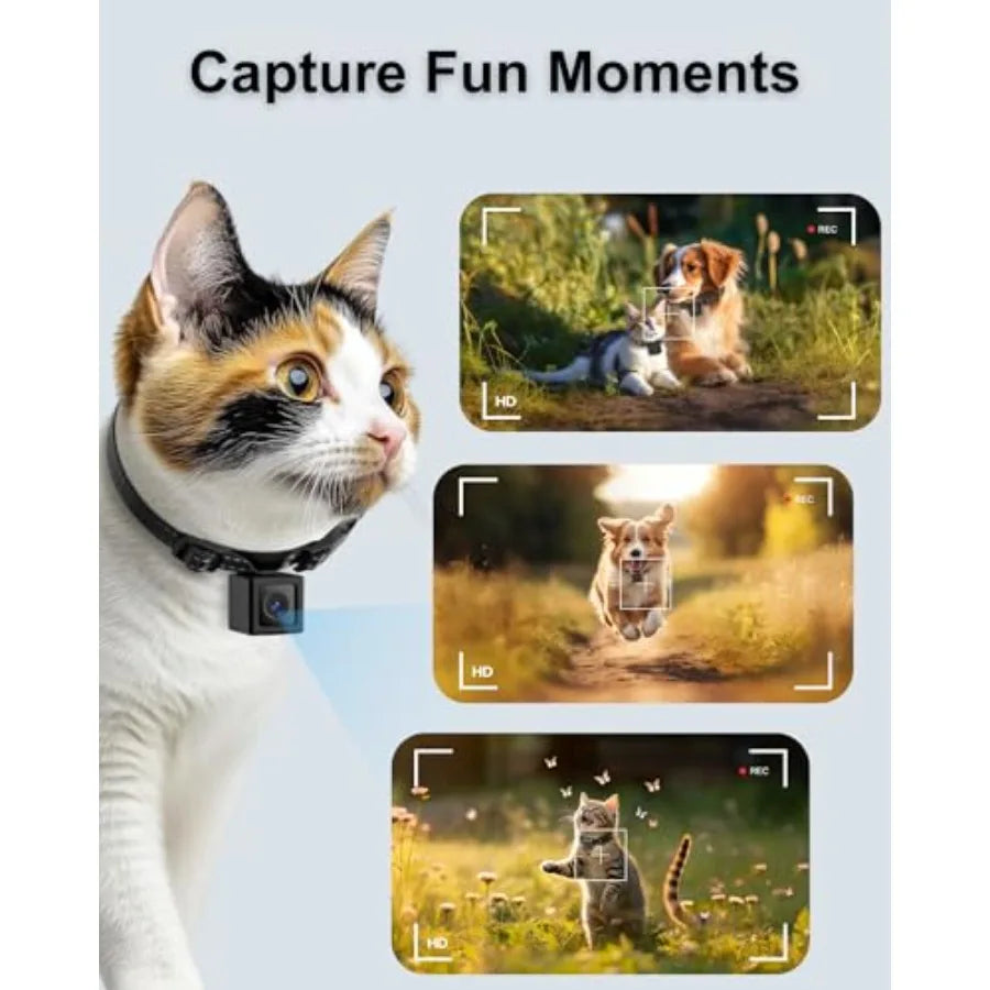 1080P HD Cat Camera Collar - No WiFi, No App Needed Mini Pet POV Cam