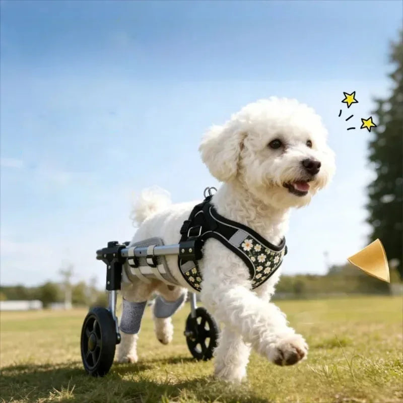 Adjustable Pet Wheelchair Mobility Aid Cart for Disabled & Rehabilitating Dogs & Cats