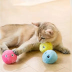 Interactive Squeaking Catnip Ball Toy