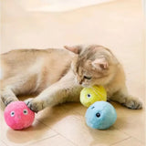 Interactive Squeaking Catnip Ball Toy
