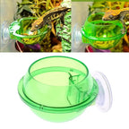 Anti-Escape Reptile Feeding Bowl — Suction-Mount Food & Water Dish