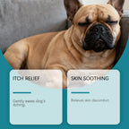 Pet Skin Care Spray — Gentle Topical Relief for Skin Discomfort