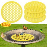 Floating Bee Waterer — Safe Drinking Island for Backyard Bees