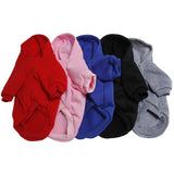 Warm Rabbit Sweater — Cozy Two-Leg Pet Clothing