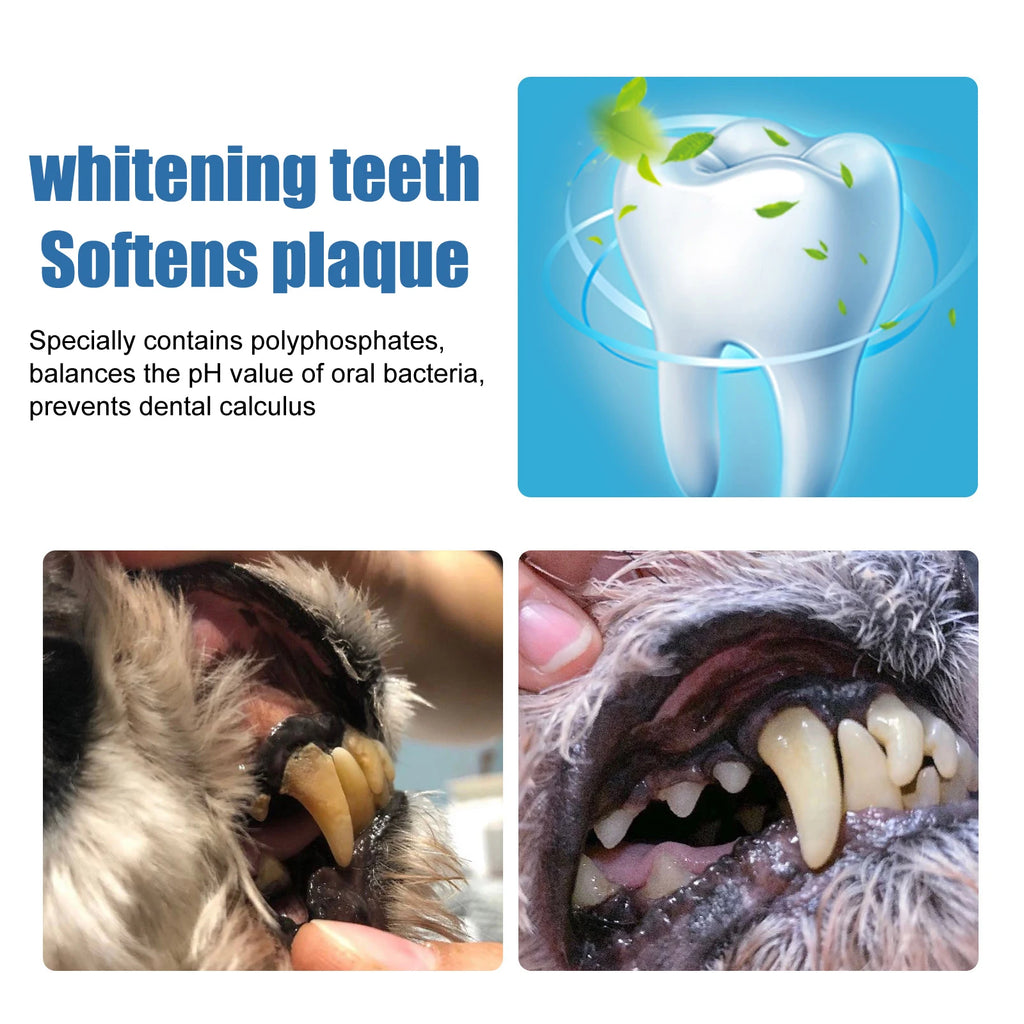 Pet Oral Foam Cleaner — Teeth Whitening & Tartar Remover for Dogs & Cats