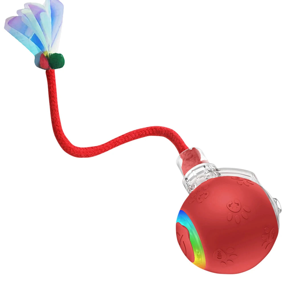 Motion-Activated Self-Rotating Cat Ball — Fast-Rolling Interactive Exerciser