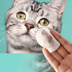 130-Count Pet Tear Stain Wipes — Gentle Eye Cleaning for Dogs & Cats