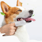 Disposable Pet Finger Cot Wipes — 50-Pack for Teeth, Ears & Eyes