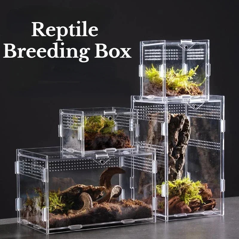Acrylic Nano Terrarium — Ventilated Enclosure for Tarantulas & Small Reptiles