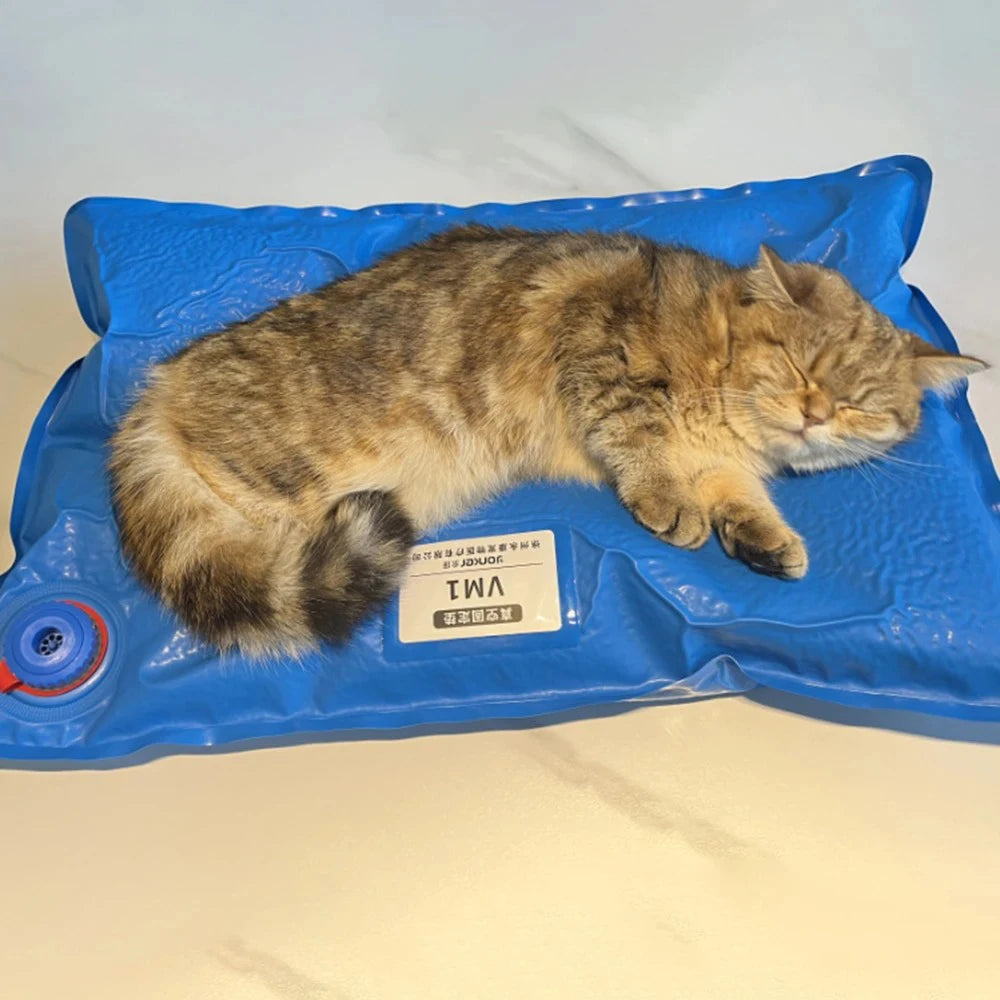 Veterinary Vacuum Positioning Mat for Pet Exams