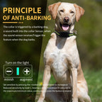 Automatic Anti-Bark Training Collar