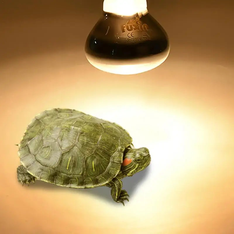 E27 Ceramic Heat Lamp — No-Light Day & Night Reptile Heater, 25W–100W