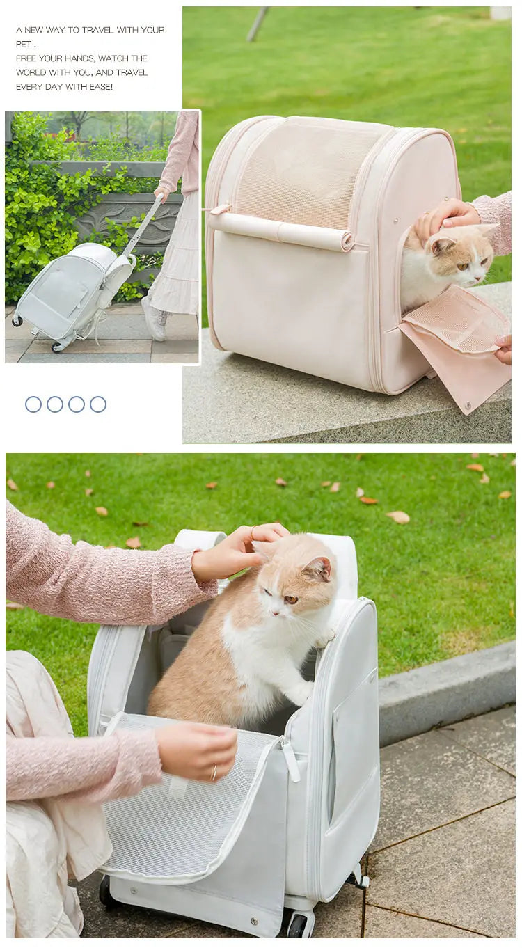 Waterproof Oxford Rolling Backpack Pet Carrier with Shoulder Straps