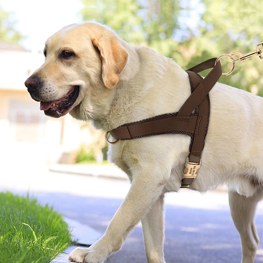 Personalized Engraved Dog Harness