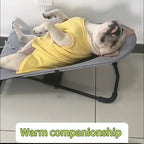 Elevated Folding Pet Rocking Chair for Sunbathing, Under 30lbs