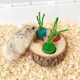 Wooden Foraging Chew Toy — Round Enrichment Toy for Small Pets & Birds