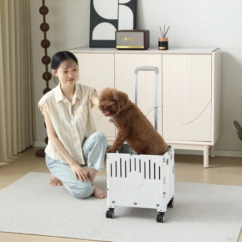 Lightweight Foldable Hand-Push Pet Scooter Cart for Small & Medium Dogs & Cats — Teddy, Corgi & More
