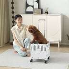 Lightweight Foldable Hand-Push Pet Scooter Cart for Small & Medium Dogs & Cats — Teddy, Corgi & More