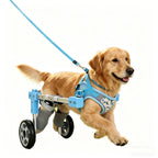 Adjustable Pet Wheelchair Mobility Aid for Disabled Dogs & Cats