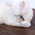 33-Pack Catnip & Silvervine Chew Sticks with 3 Bonus Mouse Toys — Natural Cat Dental Set
