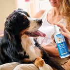 No-Brush Dental Spray for Dogs & Cats — Alcohol-Free Plant-Based Breath Freshener