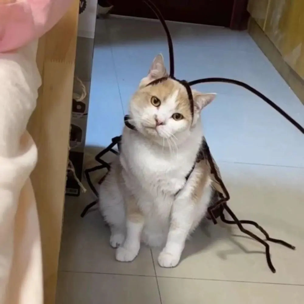 Cat Cockroach Costume Kit — Funny DIY Cosplay Dress-Up Accessory