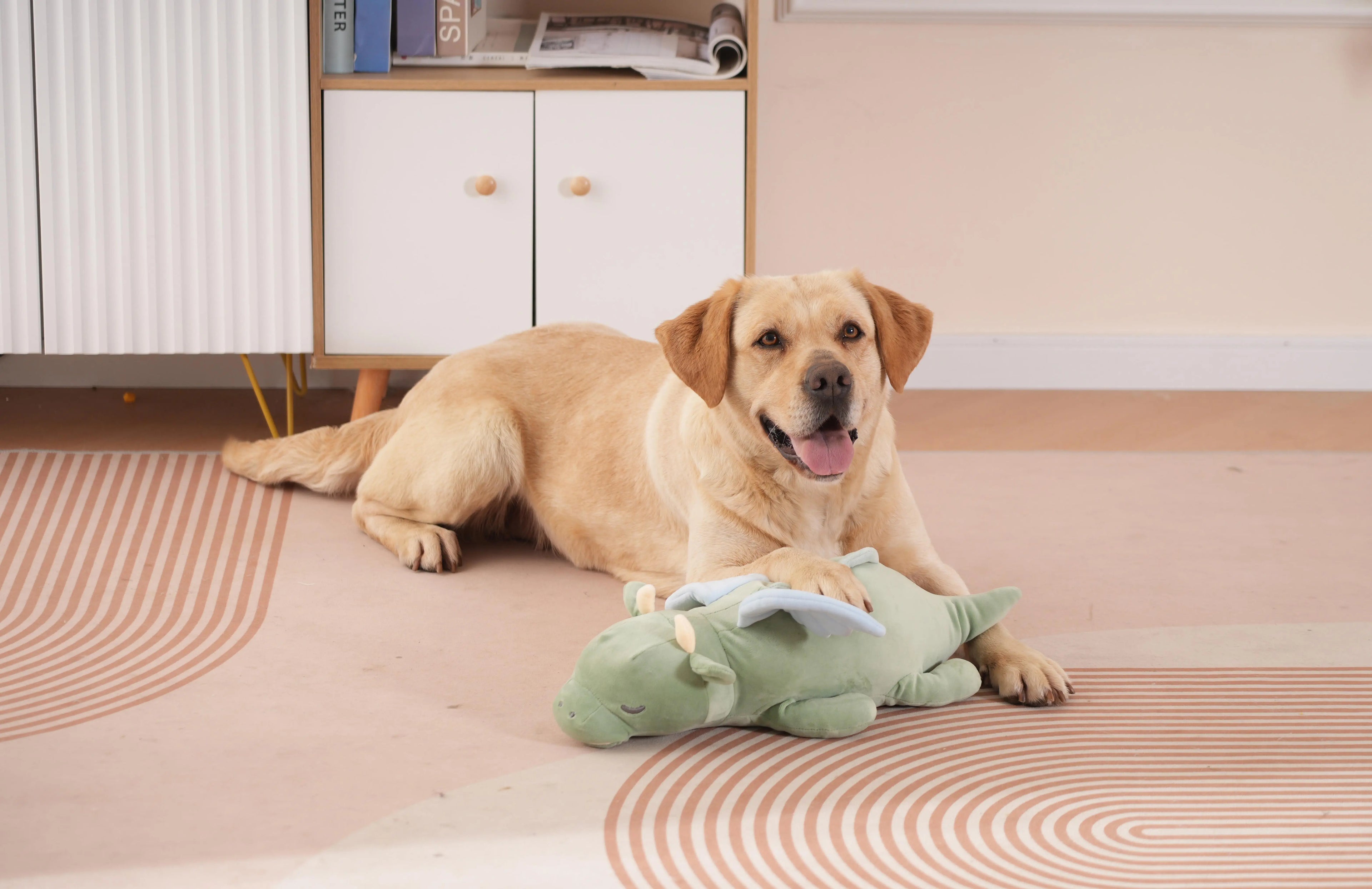 Heartbeat Comfort Puppy Toy