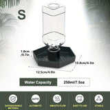 Automatic Feeder & Waterer for Small Reptiles