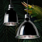 Deep Dome Reptile Lamp Fixture — Anti-Scald Protective Shade, 5.5"–10"
