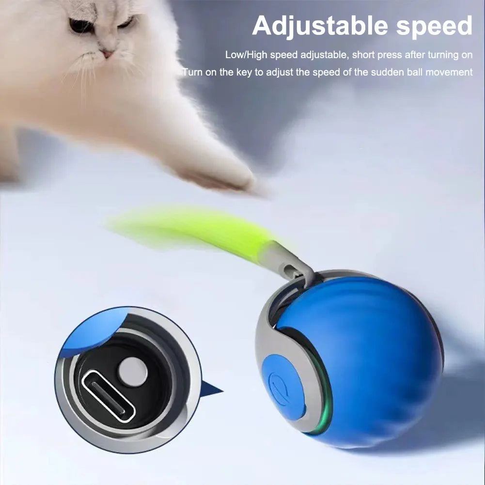 Bouncing Smart Ball Toy for Cats & Dogs