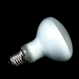 UVA Daylight Heating Bulb for Reptiles — Waterproof, 25W-100W