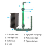 Aquarium Double-Head Sponge Filter (Air-Powered, Dual Sponge, Water Purifying)