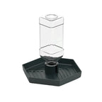 Anti-Slip Turtle Water & Food Bowl — Detachable Reptile Feeder Dish