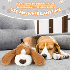 Heartbeat Puppy Sleep Aid Toy