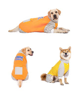 Striped Turtleneck Dog Jumpsuit