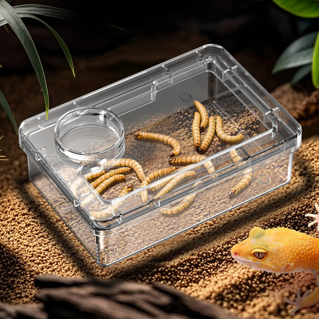 Anti-Escape Feeding & Water Bowl — Keeps Mealworms & Roaches In for Lizards & Geckos