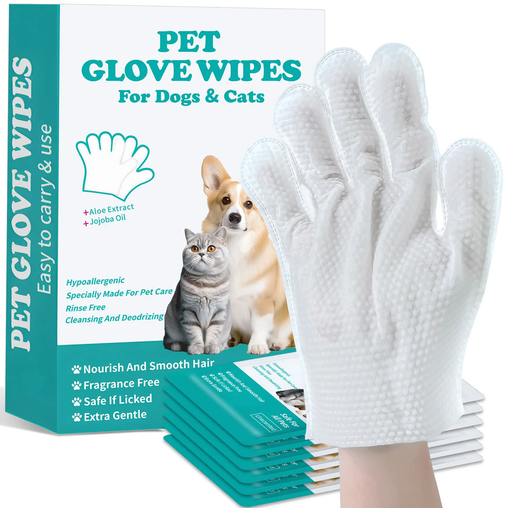 No-Wash Pet Cleaning Gloves — Pack of 6 Disposable Grooming Wipes