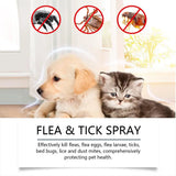 Aloe Vera Flea & Tick Spray for Dogs & Cats — 100ml Full-Coat Treatment