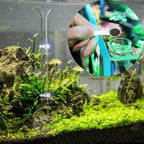 Glass Aquarium Shrimp Feeder Bowl & Tube (Transparent, Food Dish)