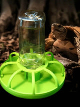 Automatic Turtle & Lizard Water Dispenser — Space-Saving Landscape Water Basin