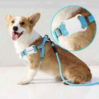 Waterproof Mini GPS Pet Tracker with LED Light Collar for Cats & Dogs